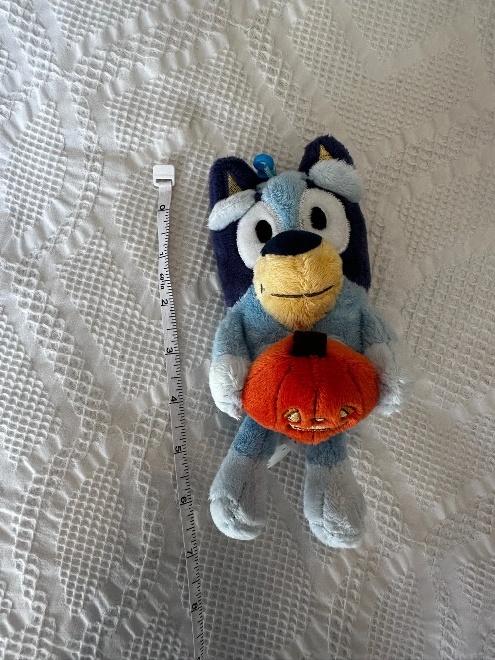 Bluey nwot only